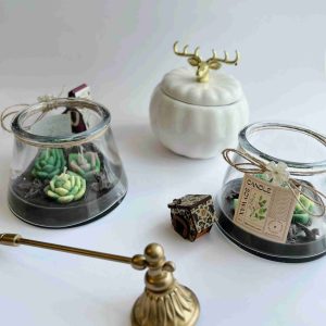 شمع شیشه ای مدل گل کاکتوس رنگی
